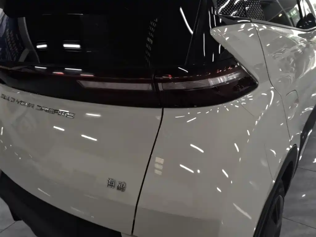 BYD Seagull 2024 Glory Edition 305km Vitality Edition фото 8