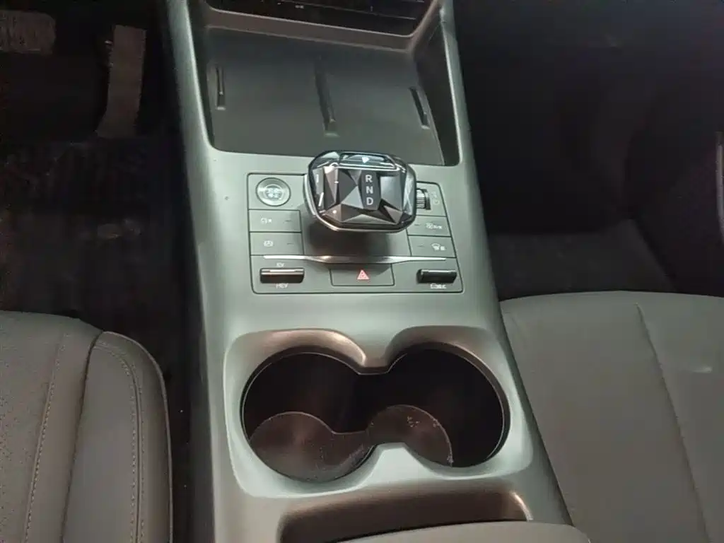 BYD Qin PLUS 2025 DM-i Smart Drive 55KM Leader фото 14