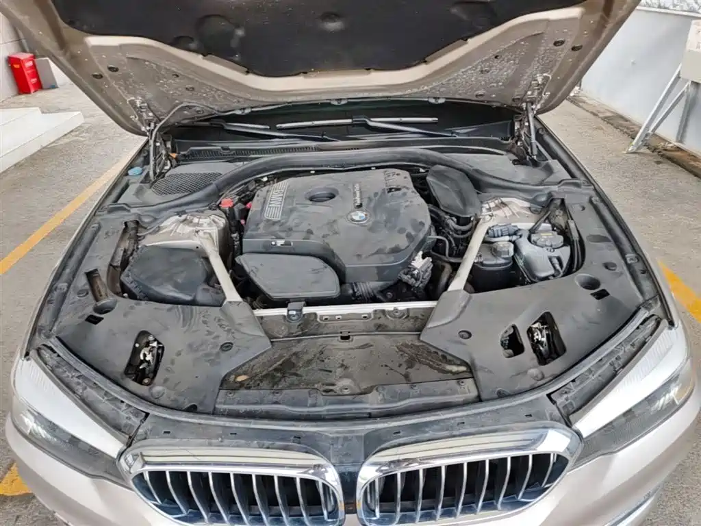 BMW 5 Series 2020 525Li Luxury Package фото 20