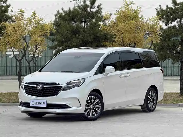 Buick GL8 ES Люкс, 653T, Люкс