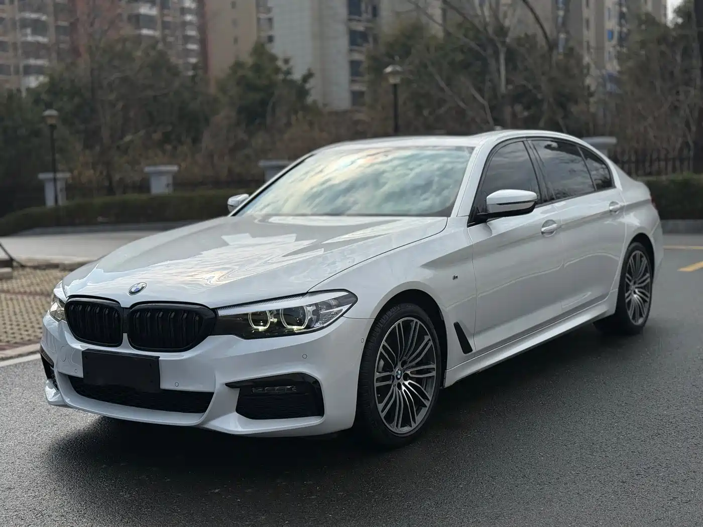 BMW 5 Series 2019 530Li Leading M Sport Package
