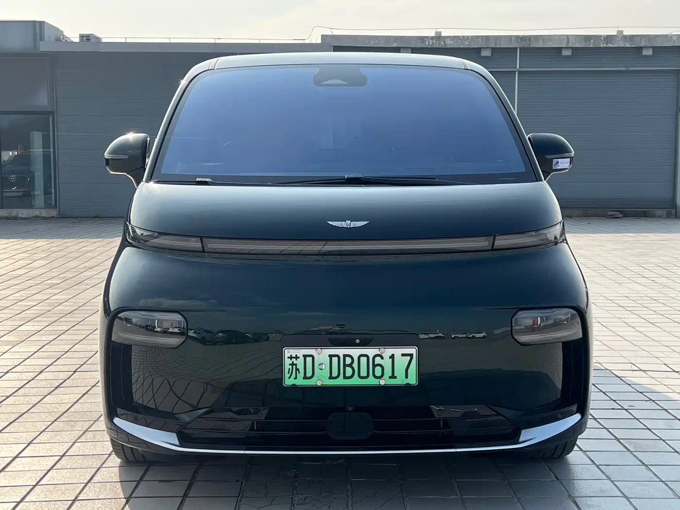 GEELY GALAXY WING TRUE L380