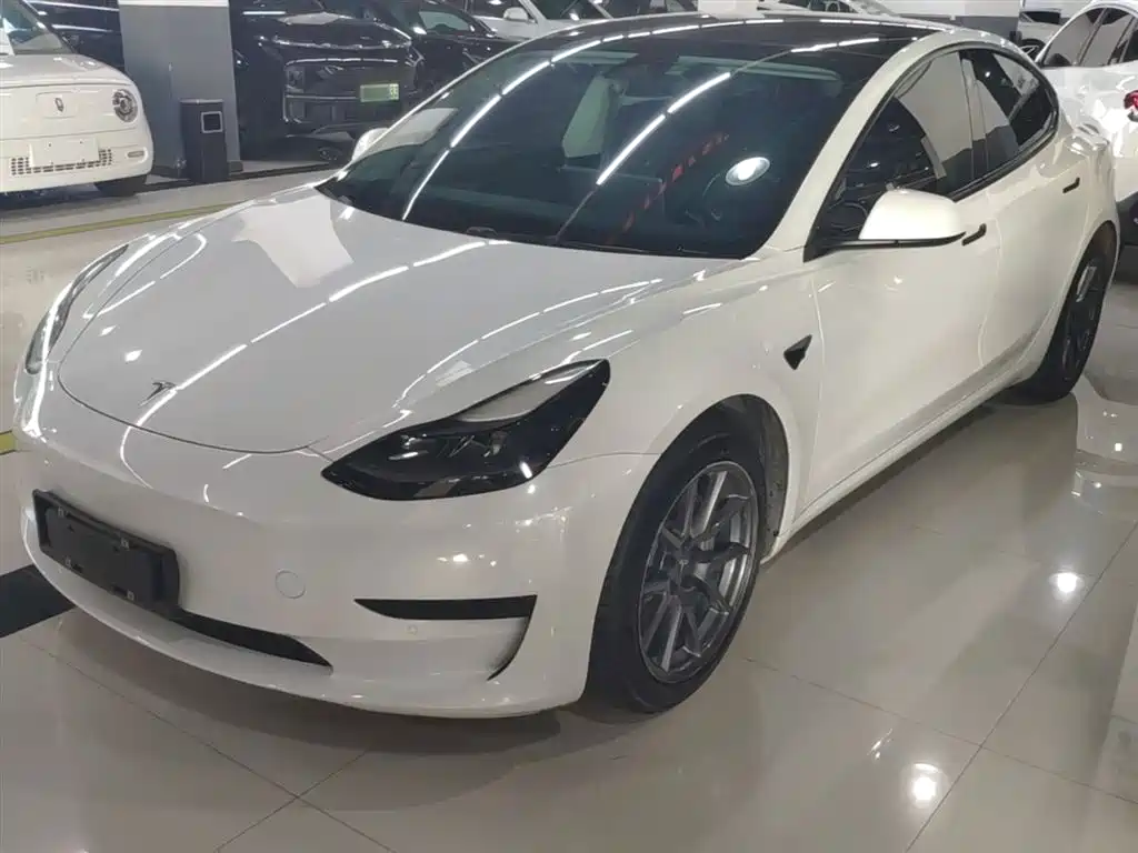 Tesla Model 3 2021 Standard Range Rear-Wheel Drive Upgrade