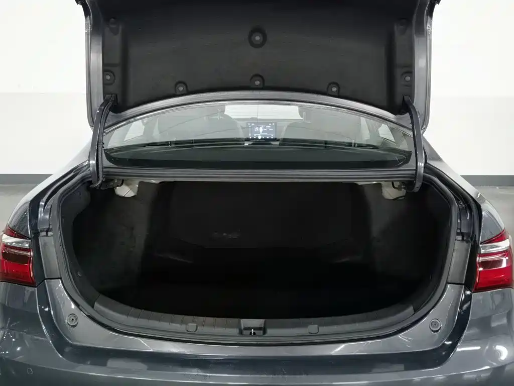 BYD Qin 2021 2019 1.5L Automatic Luxury Edition
