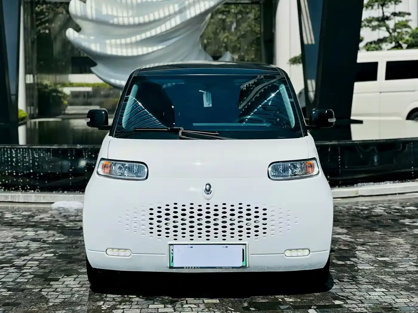 2021 Ora White Cat