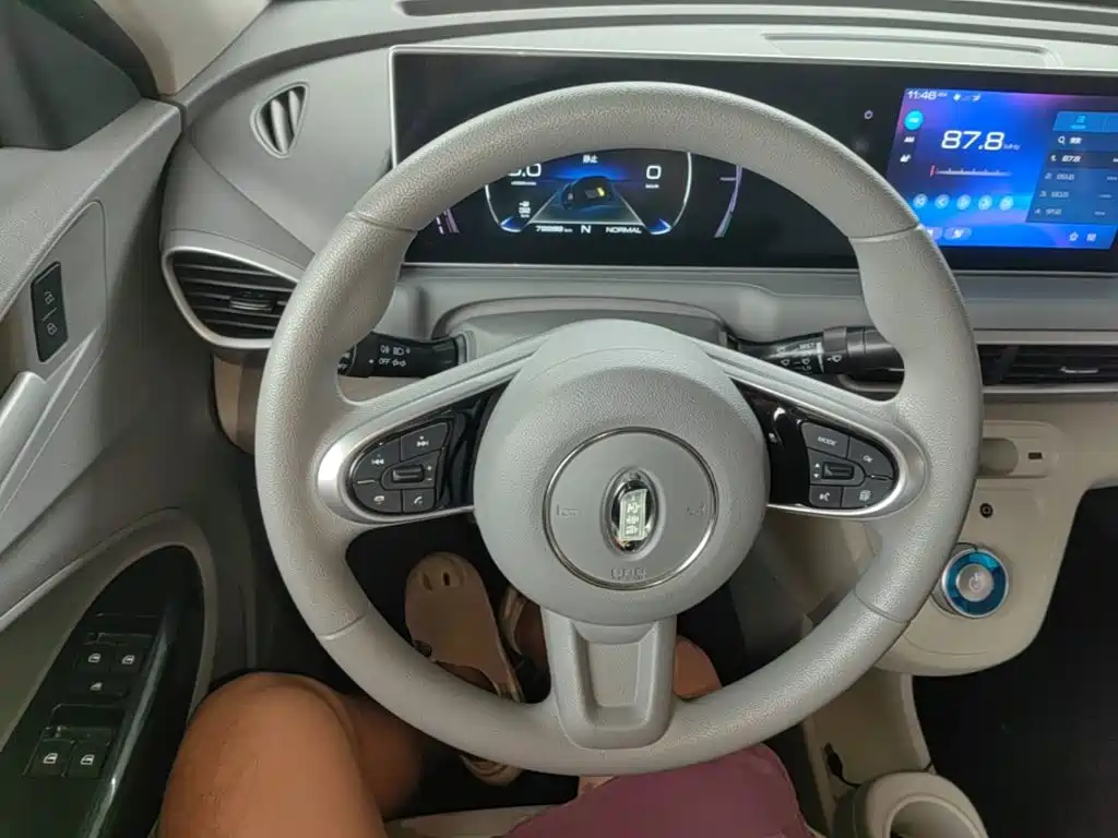 Ora White Cat 2021 2020 305km Luxury