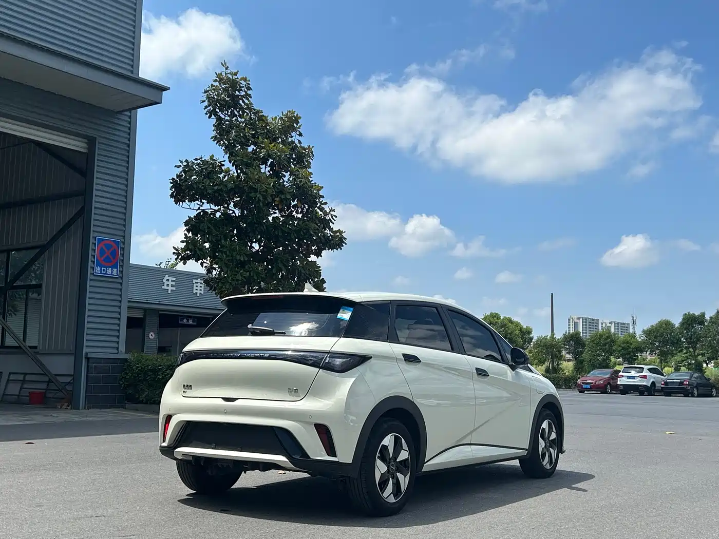 BYD Dolphin 2024 Glory Edition 420km Freedom Edition фото 6