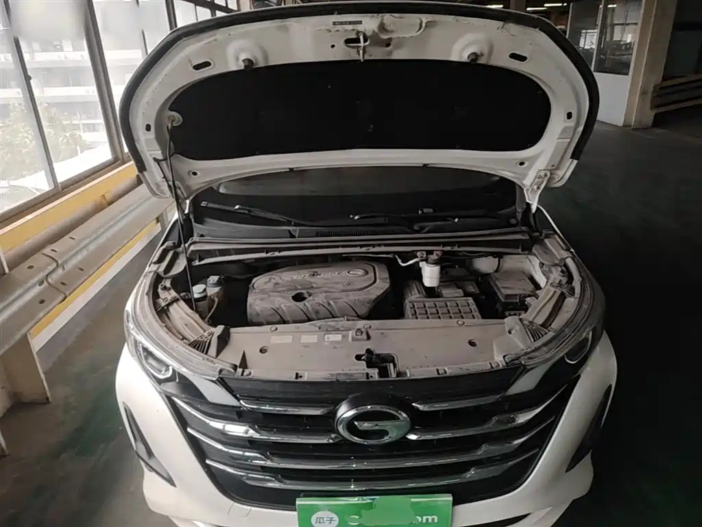 GAC Trumpchi Trumpchi M6 2019 270T Automatic Elite (7-seater) China V фото 20