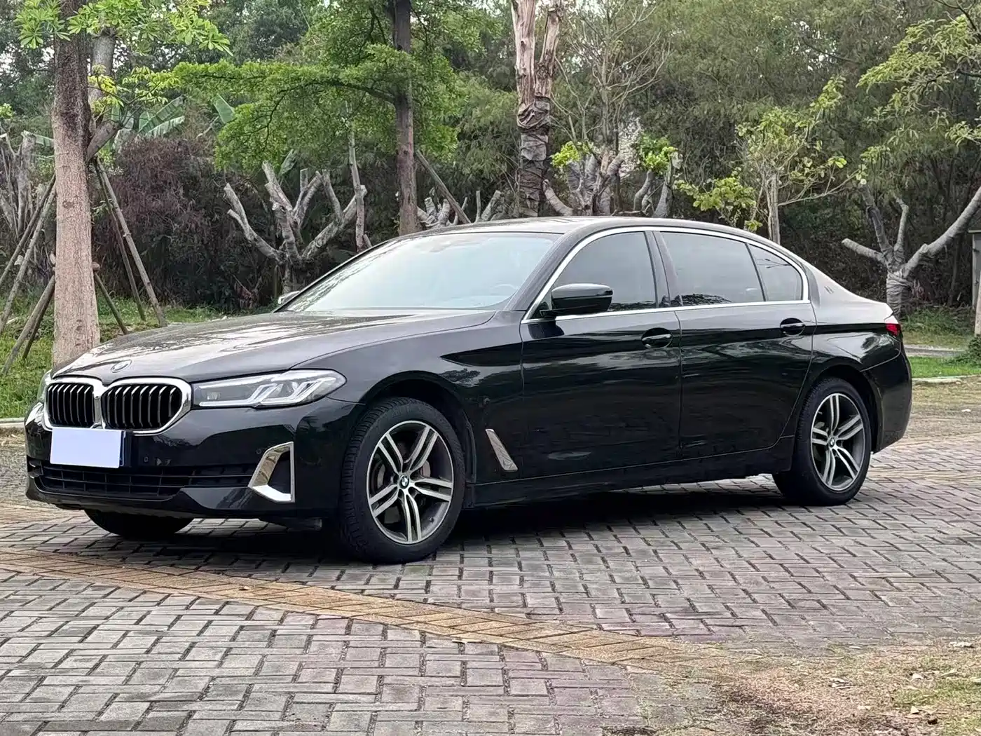 BMW 5 Series 2021 Facelift 530Li Leading Luxury Package