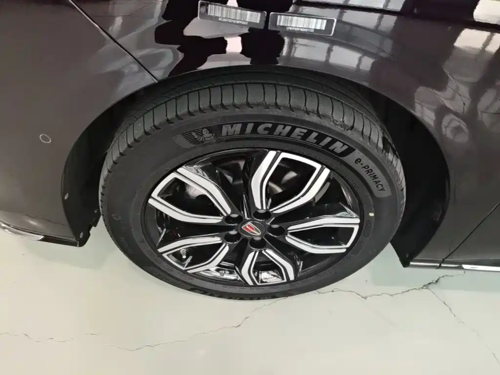 Hongqi HQ9 2023 2023 2.0T Smart Connect Flagship