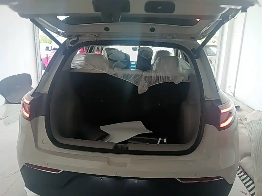 Geely Galaxy Starry Wish 2026 2026 Model 310km Dream Edition
