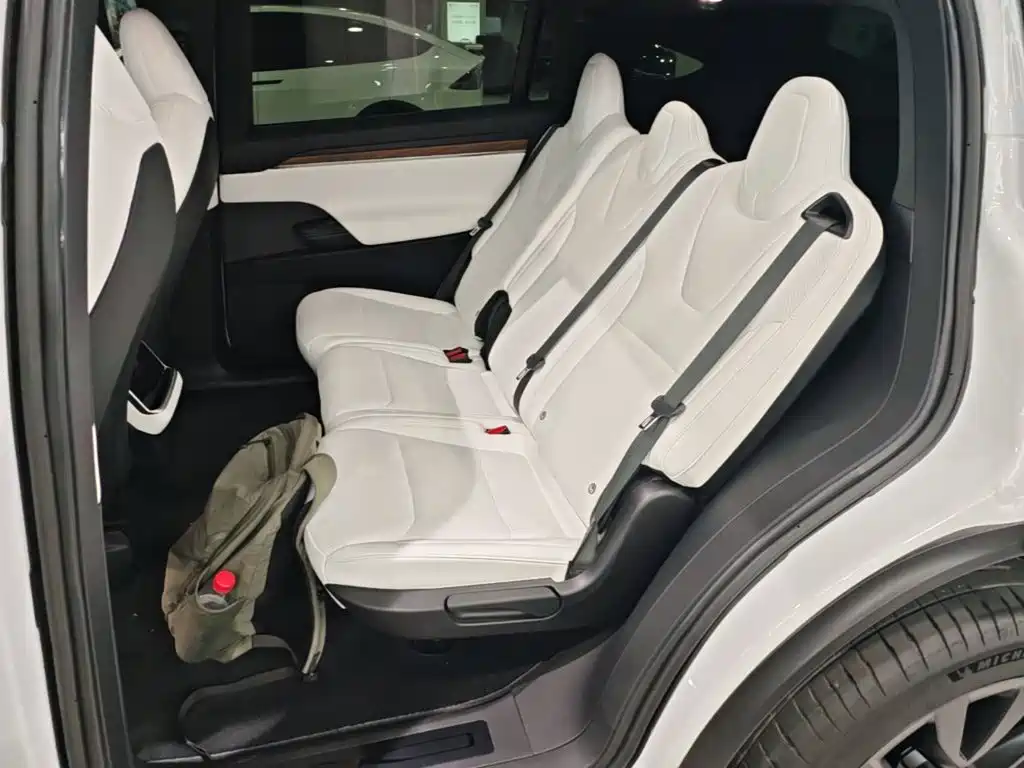 Фото 17 - Tesla Model X