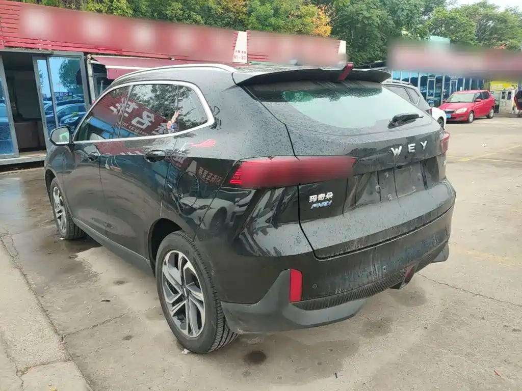 WEY Macchiato DHT-PHEV 2022 2021 1.5L Master Edition