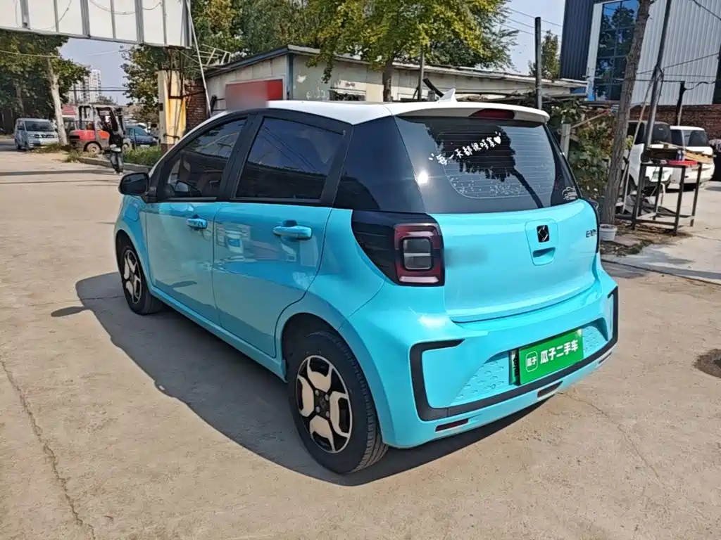 Sehol Flower Fairy 2021 2021 302km Luxury Edition 31.4kWh