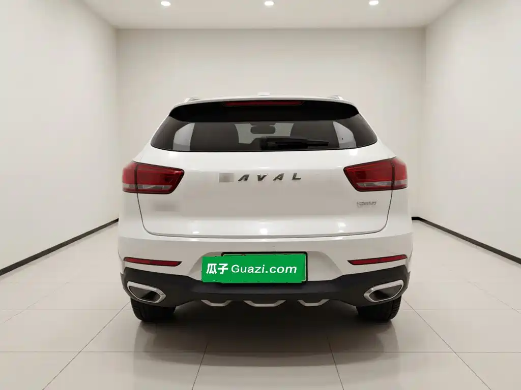 Haval F5 2019 2019 National Trend Edition 1.5T iTrend China VI