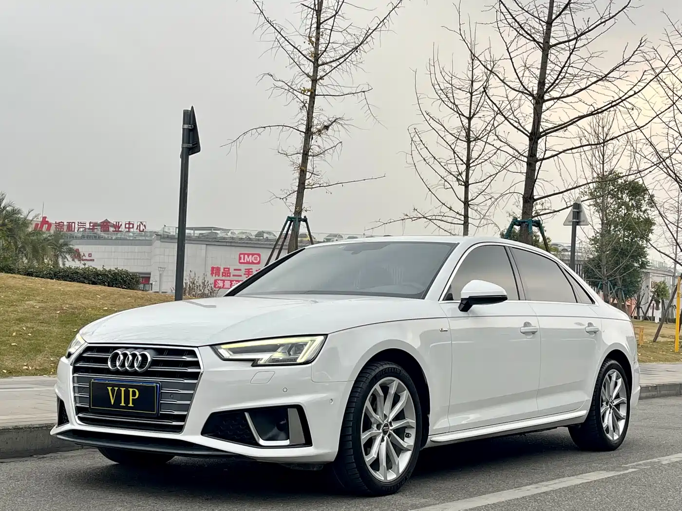 Audi A4L 2019 40 TFSI Fashion (China VI)
