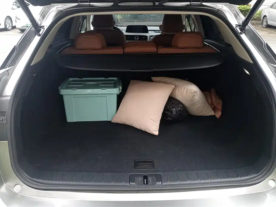 Lexus RX 2020 Facelift 300 AWD Elegance Edition фото 4