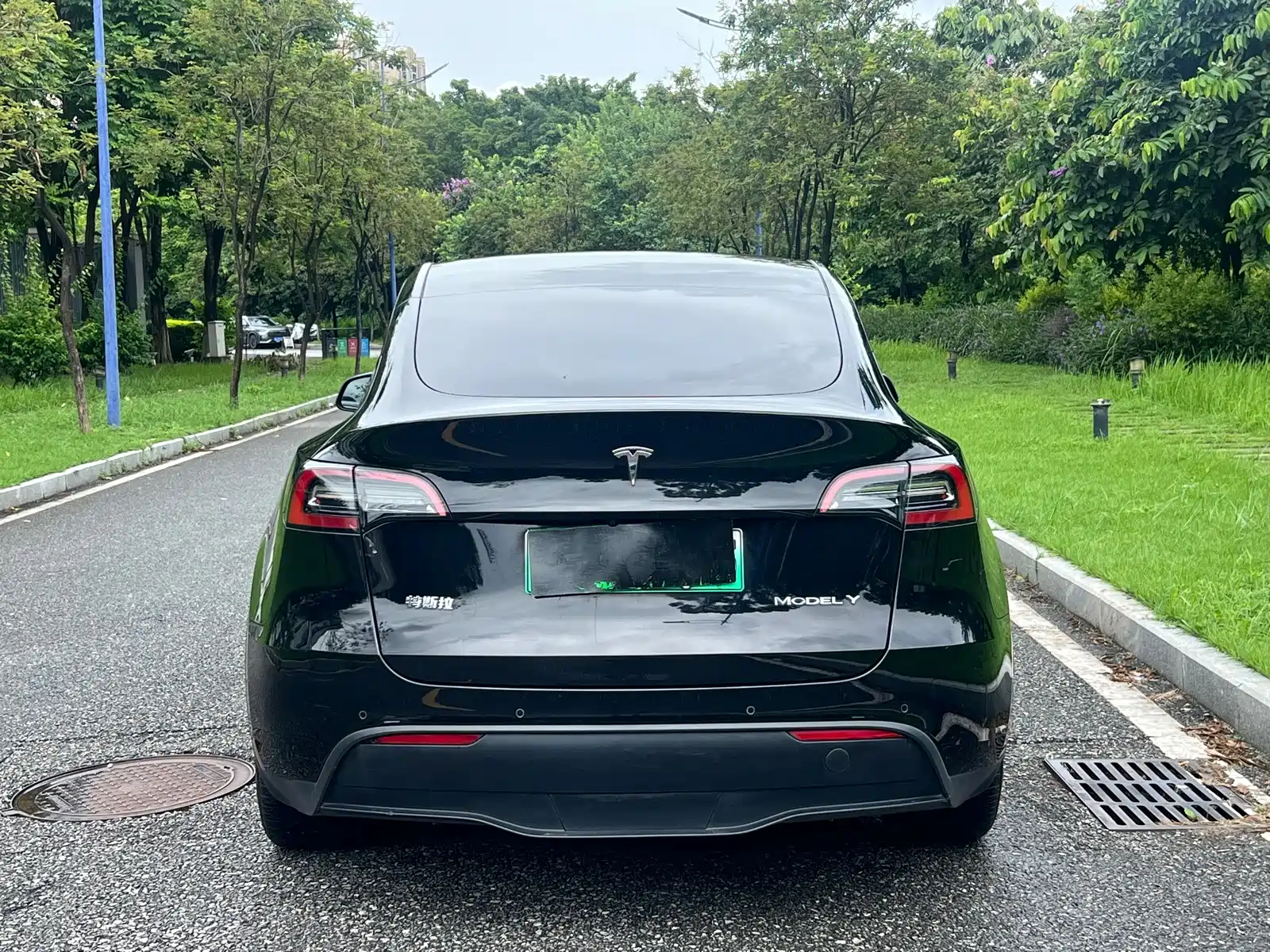 Фото 6 - Tesla Model Y