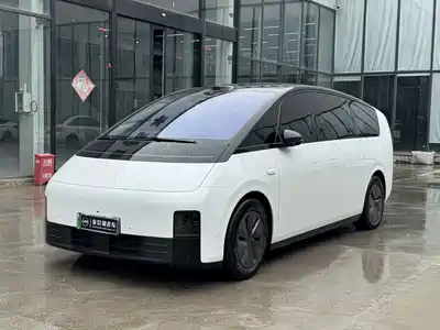 Li Auto MEGA