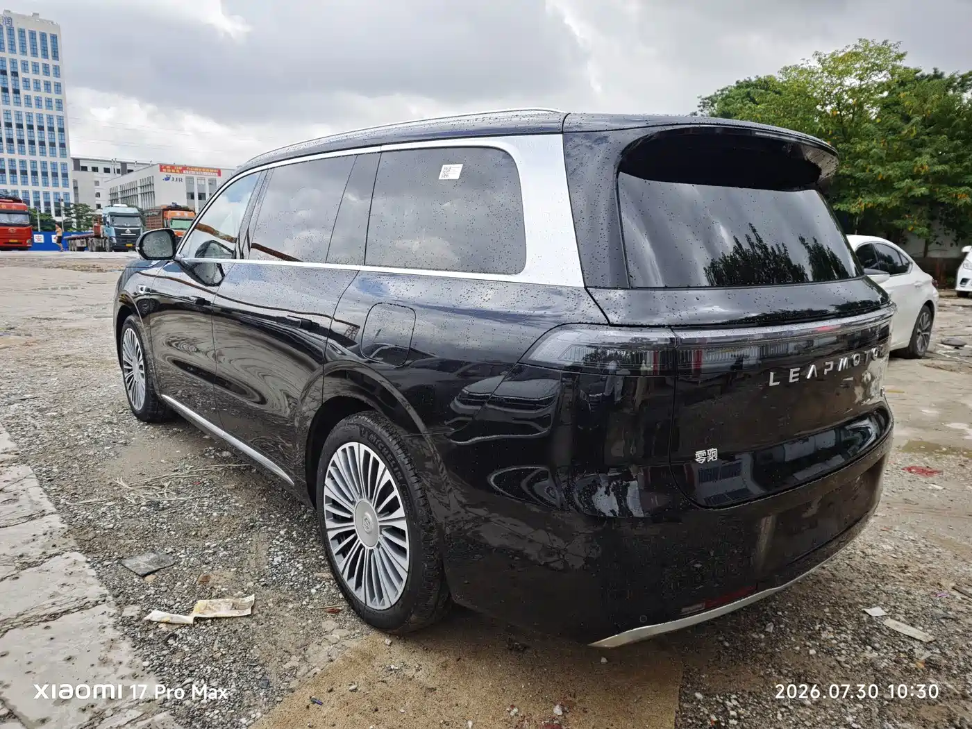 Leapmotor D Series 2026 2026 Model Pure Electric 115kWh 6-Seater