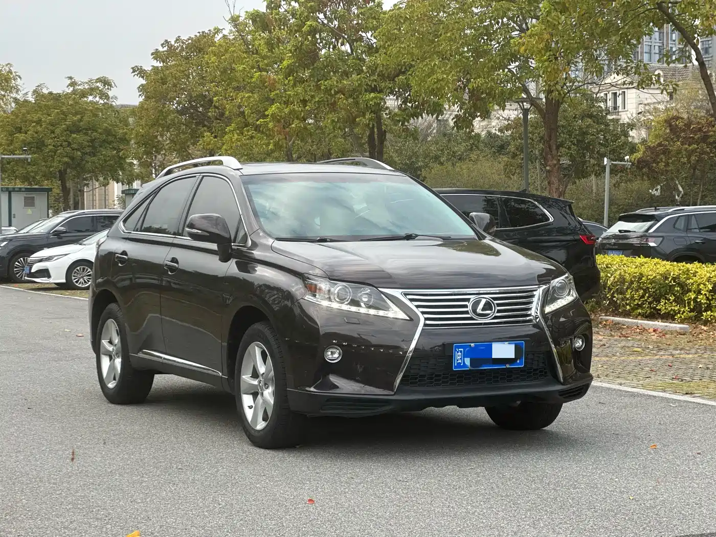 Lexus RX Classic 2014 270 Special Limited Edition фото 3