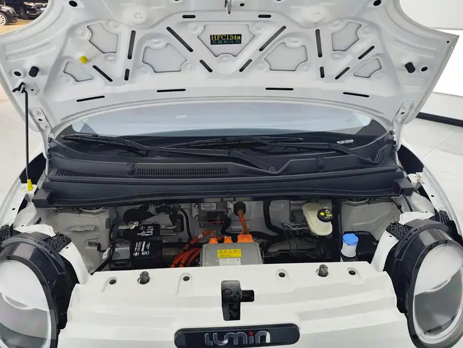 Changan Lumin 2024 2023 Model 205km Fragrant Edition