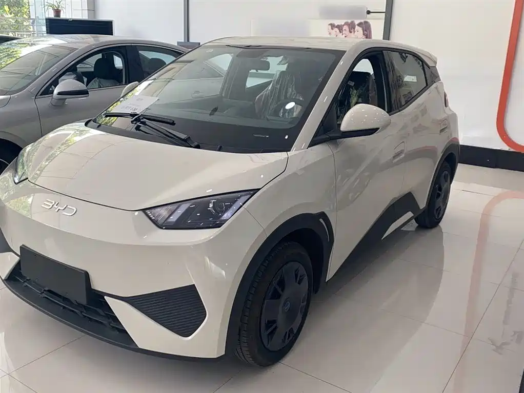 BYD Seagull 2026 2025 Smart Drive Edition 305km Vitality Version