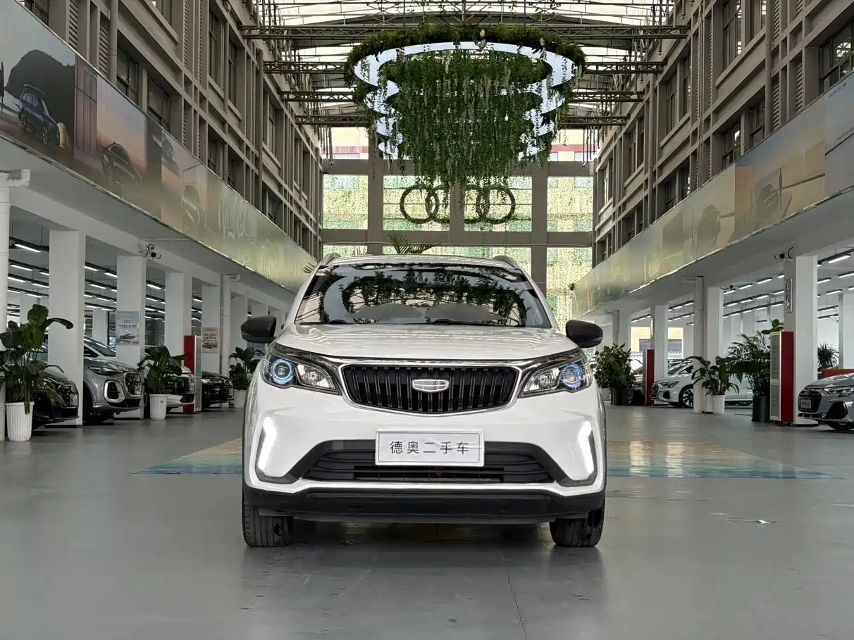Фото 6 - Geely Vision X3