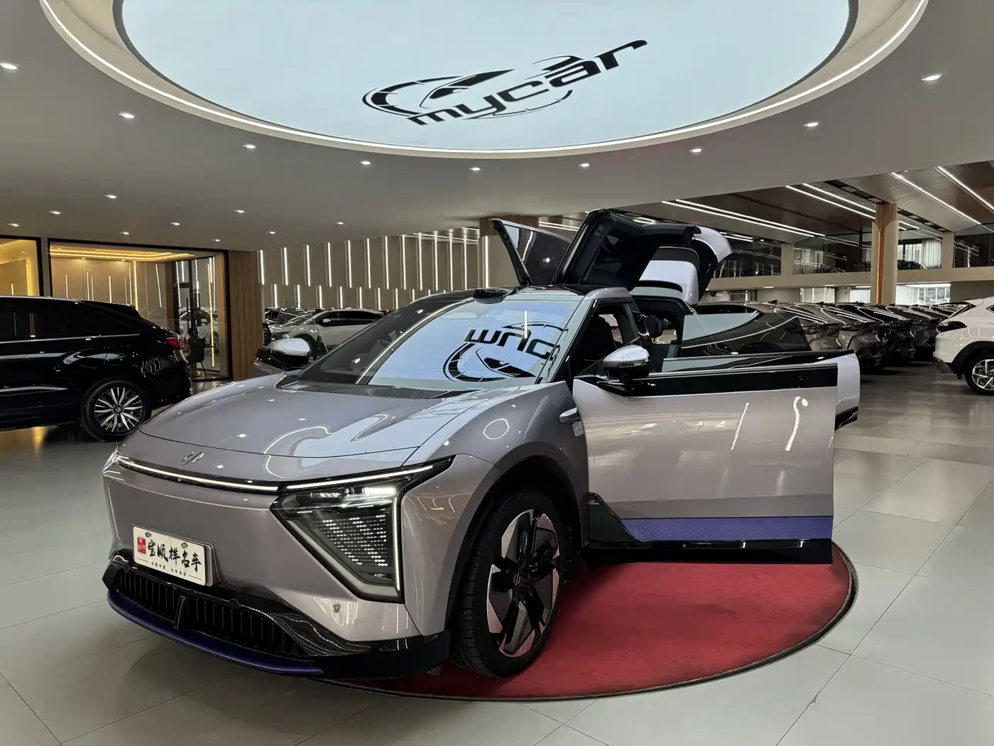 HiPhi Y 2023 2023 560km Pioneer Edition