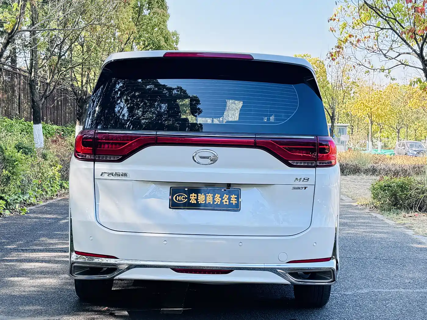 GAC Trumpchi Trumpchi M8 2023 Leading Series 390T Luxury Edition фото 6