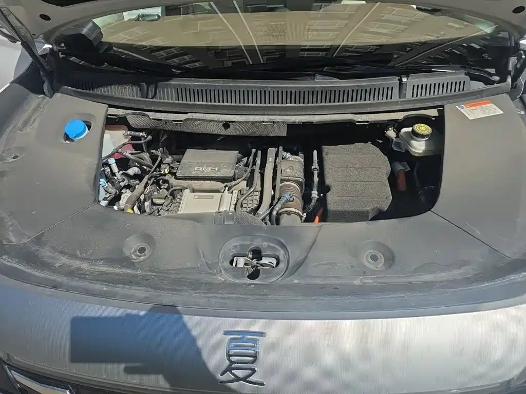 BYD Xia 2025 2025 DM-i 1.5T 180km Surpass Edition