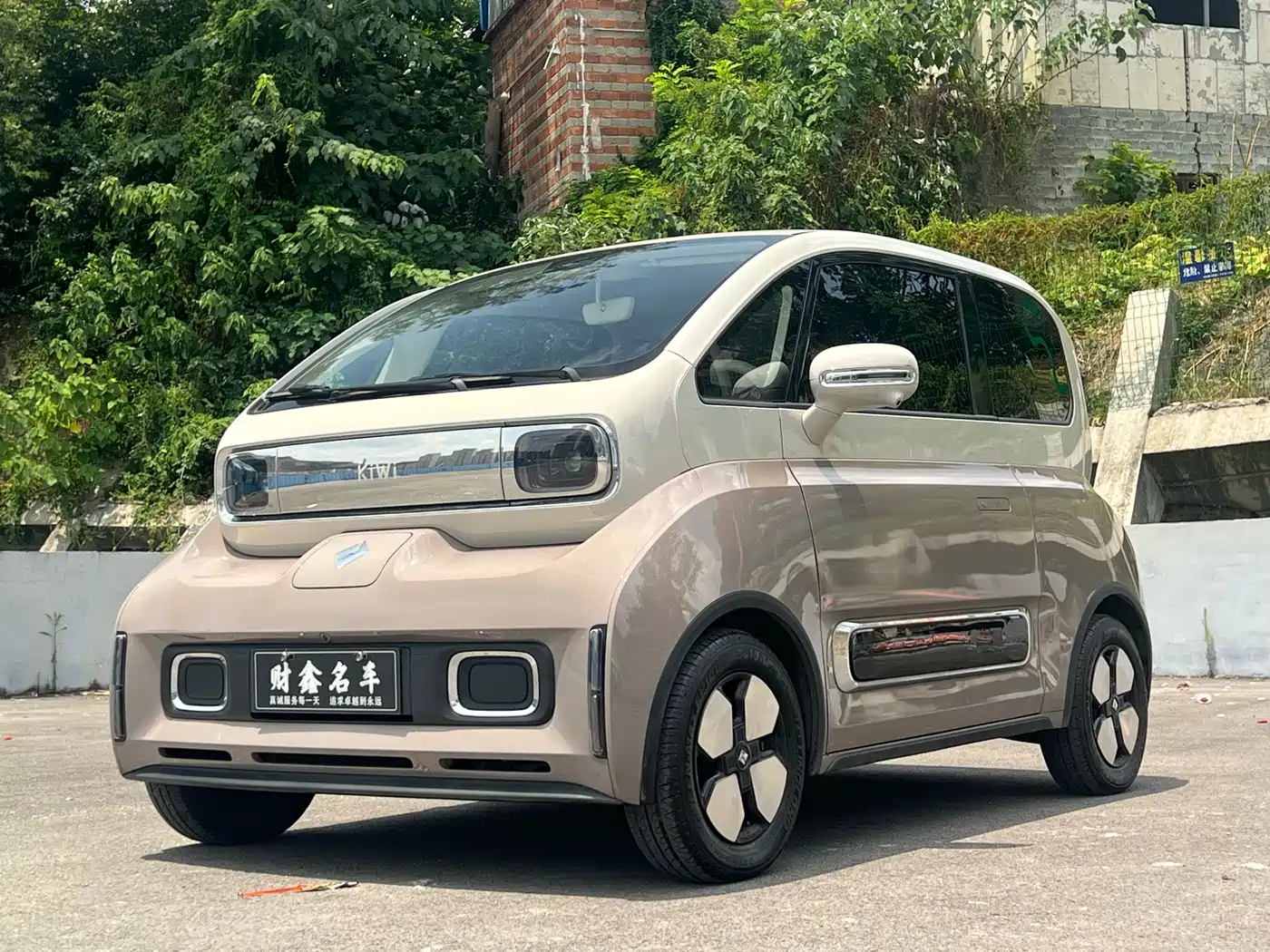 Baojun KiWi EV 2023 2023 Smart Luxury Edition Ternary Lithium