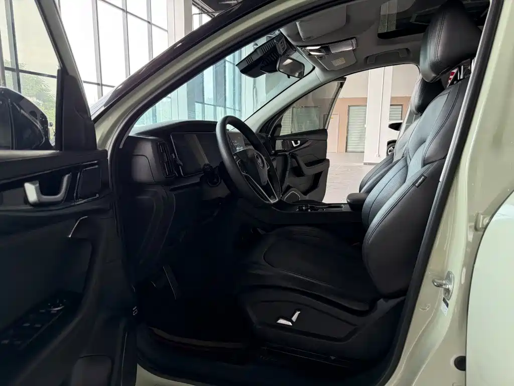 Weltmeister W6 2021 2021 520km NEX Explorer Edition