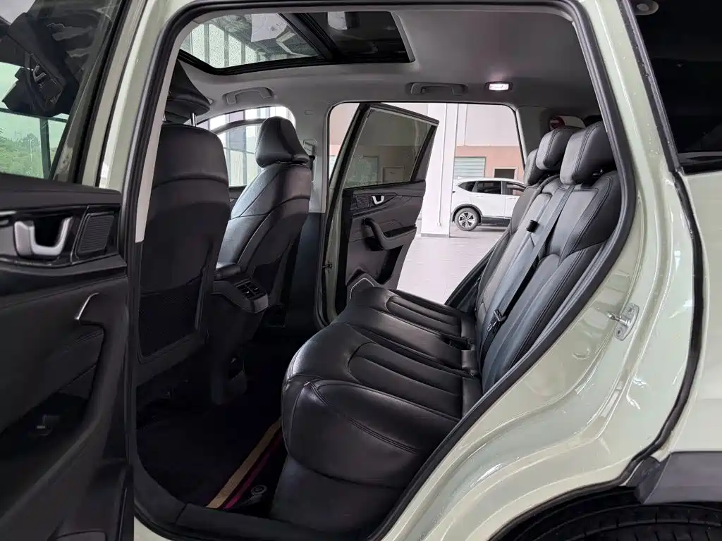 Weltmeister W6 2021 2021 520km NEX Explorer Edition