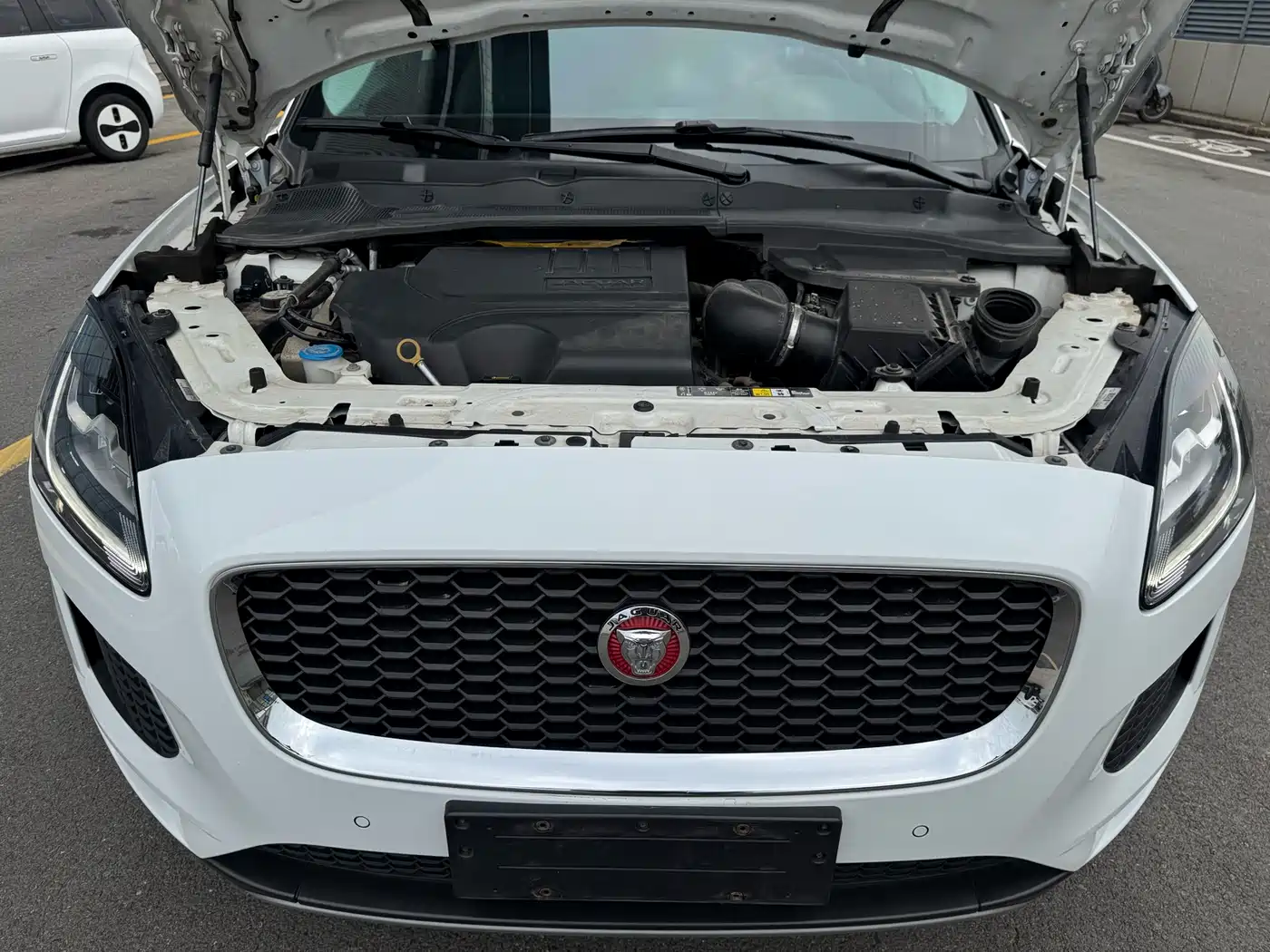 Jaguar E-PACE 2021 2018 P250 S China V
