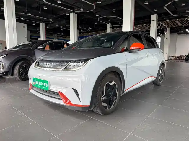 BYD Dolphin 405km, Стиль