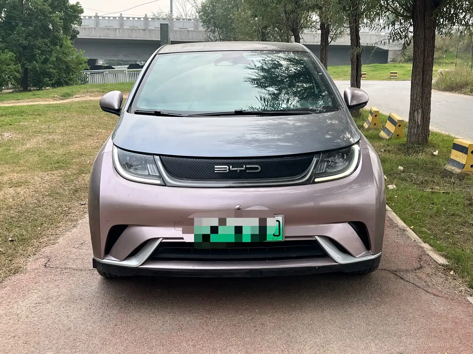 Фото 2 - BYD Dolphin