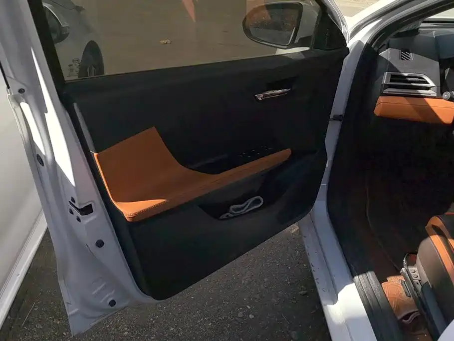 BYD e2 2022 2021 Luxury Edition