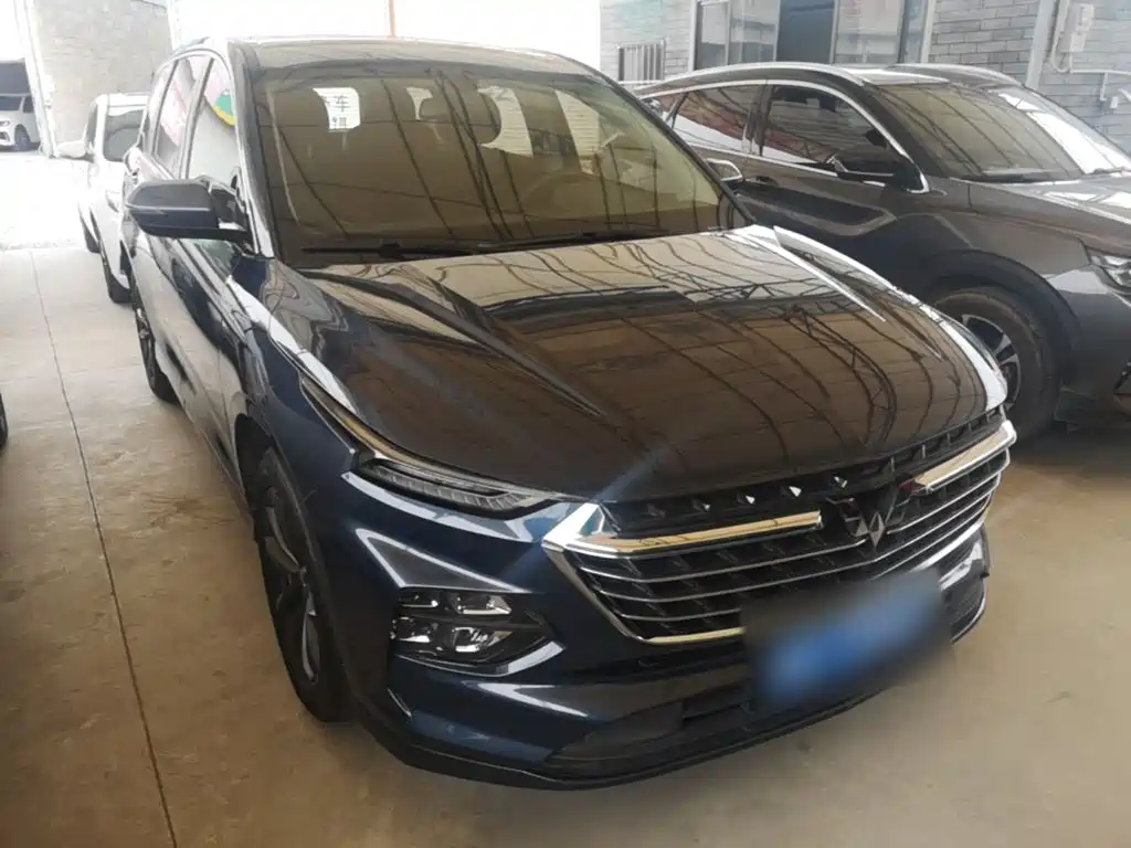 Фото 4 - Wuling Motors Wuling Victory