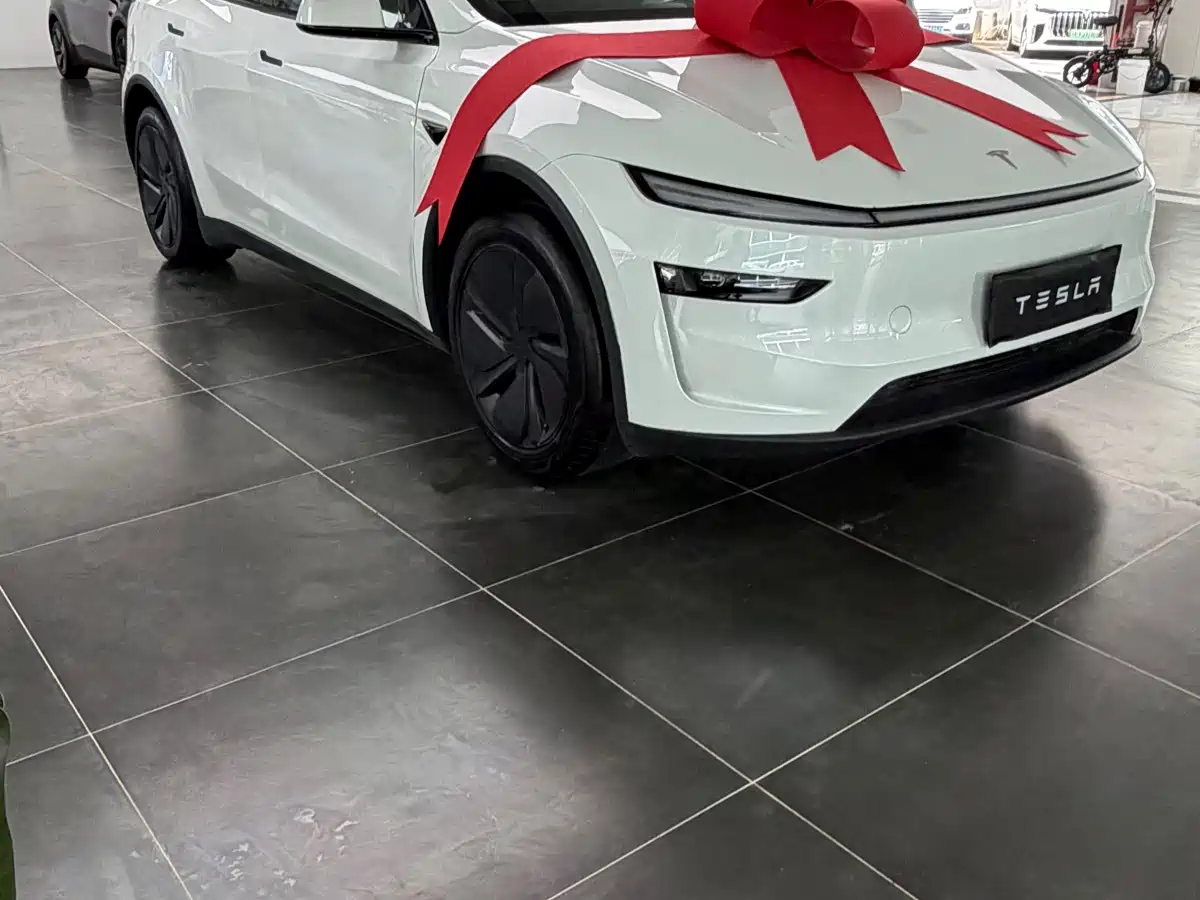 Tesla Model Y 2026 2026 Rear-Wheel Drive