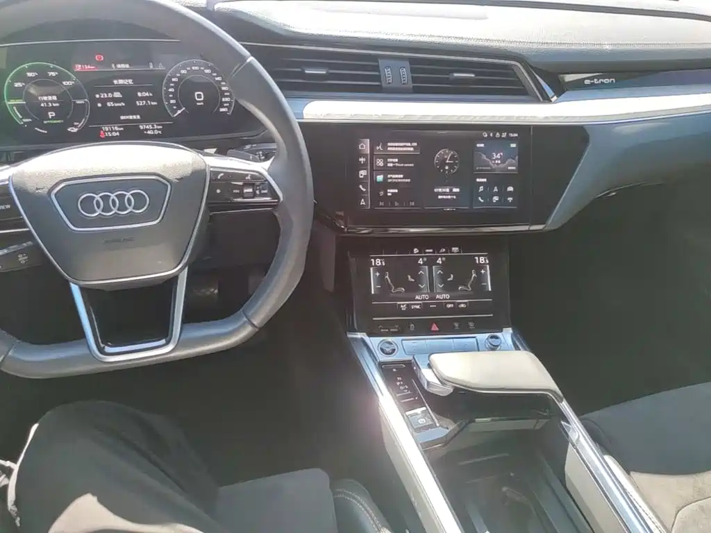 Audi e-tron 2022 2021 50 quattro Luxury