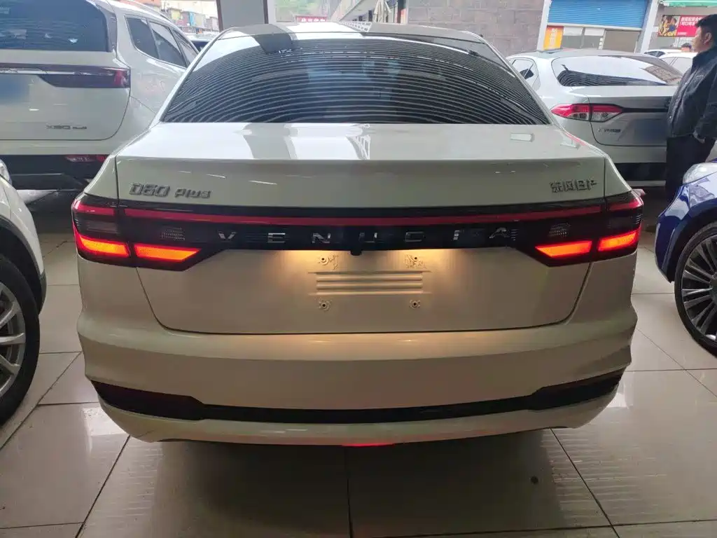 2025 Venucia D60