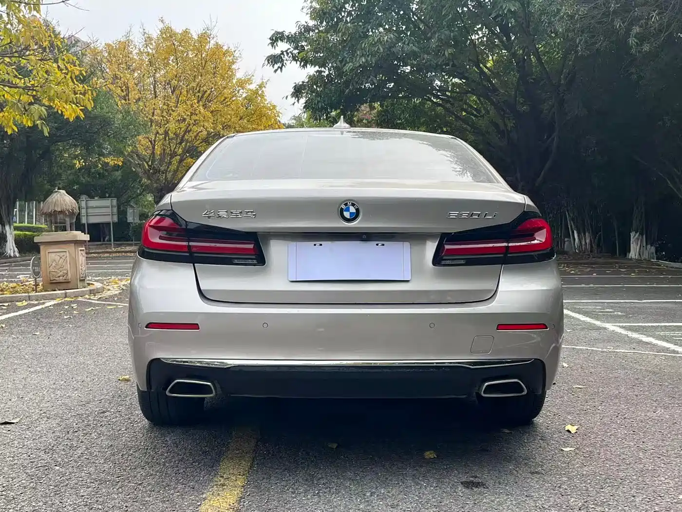 BMW 5 Series 2021 530Li Leading Luxury Package фото 8