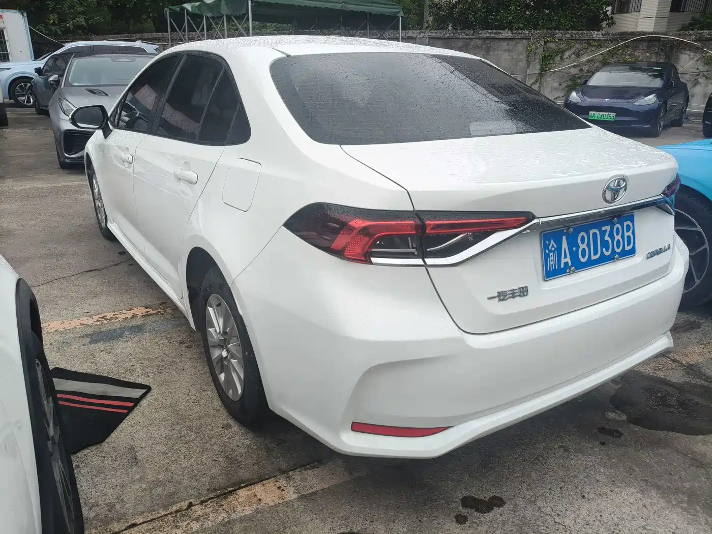Фото 6 - Toyota Corolla