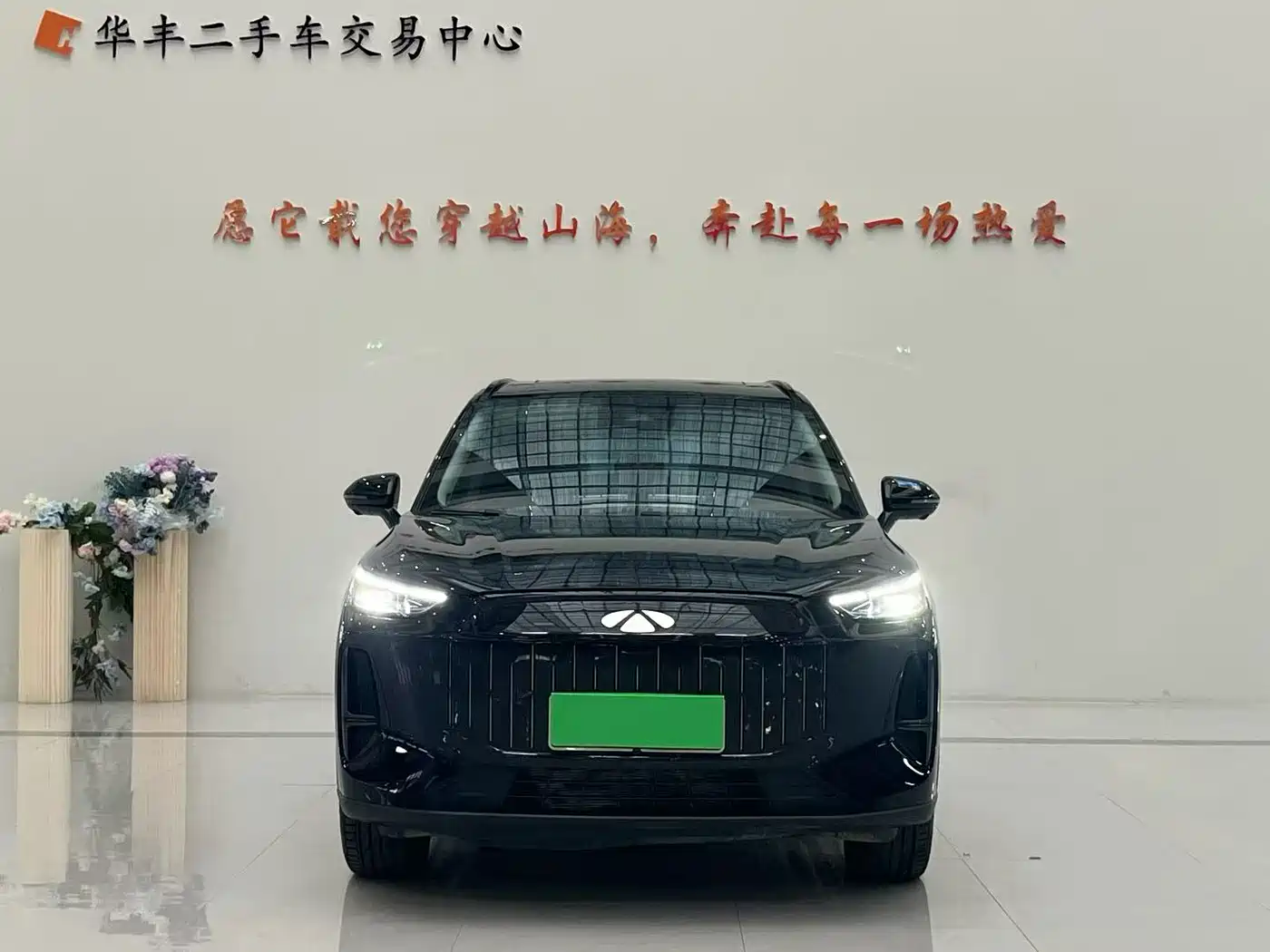 2025 Chery Fengyun Fengyun T9