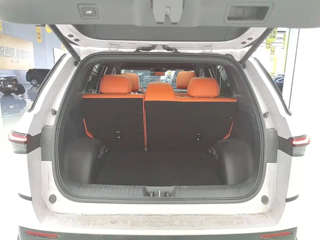 Фото 19 - Toyota BoZhi 3X