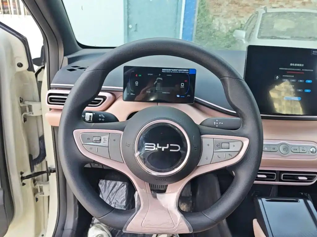 BYD Seagull 2026 2025 Smart Drive Edition 305km Vitality Version