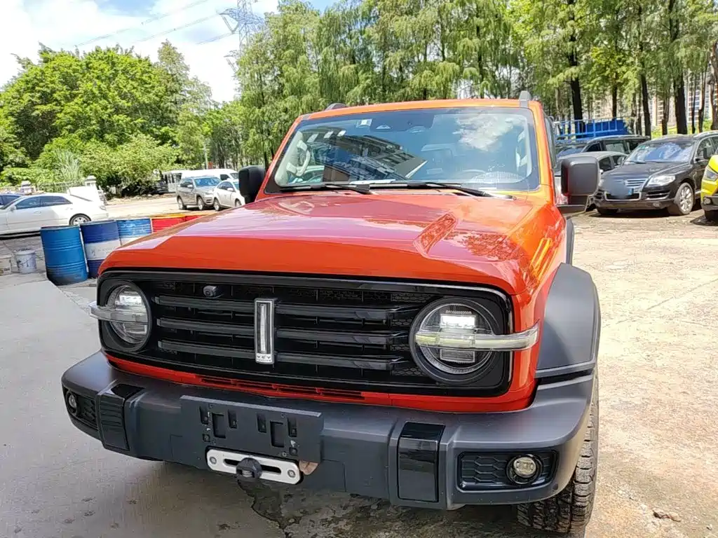 Tank 300 2021 2021 Off-road Version 2.0T Conqueror