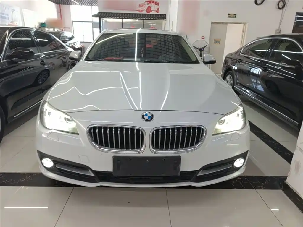BMW 5 Series (Import) 2015 520i Elegance фото 3