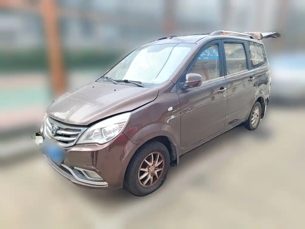 2016 BAIC Weiwang M30